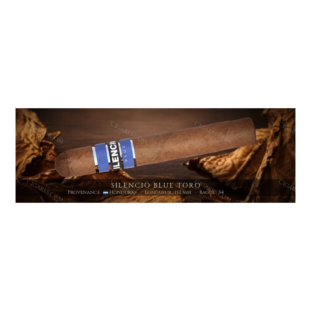 Silencio Blue Toro