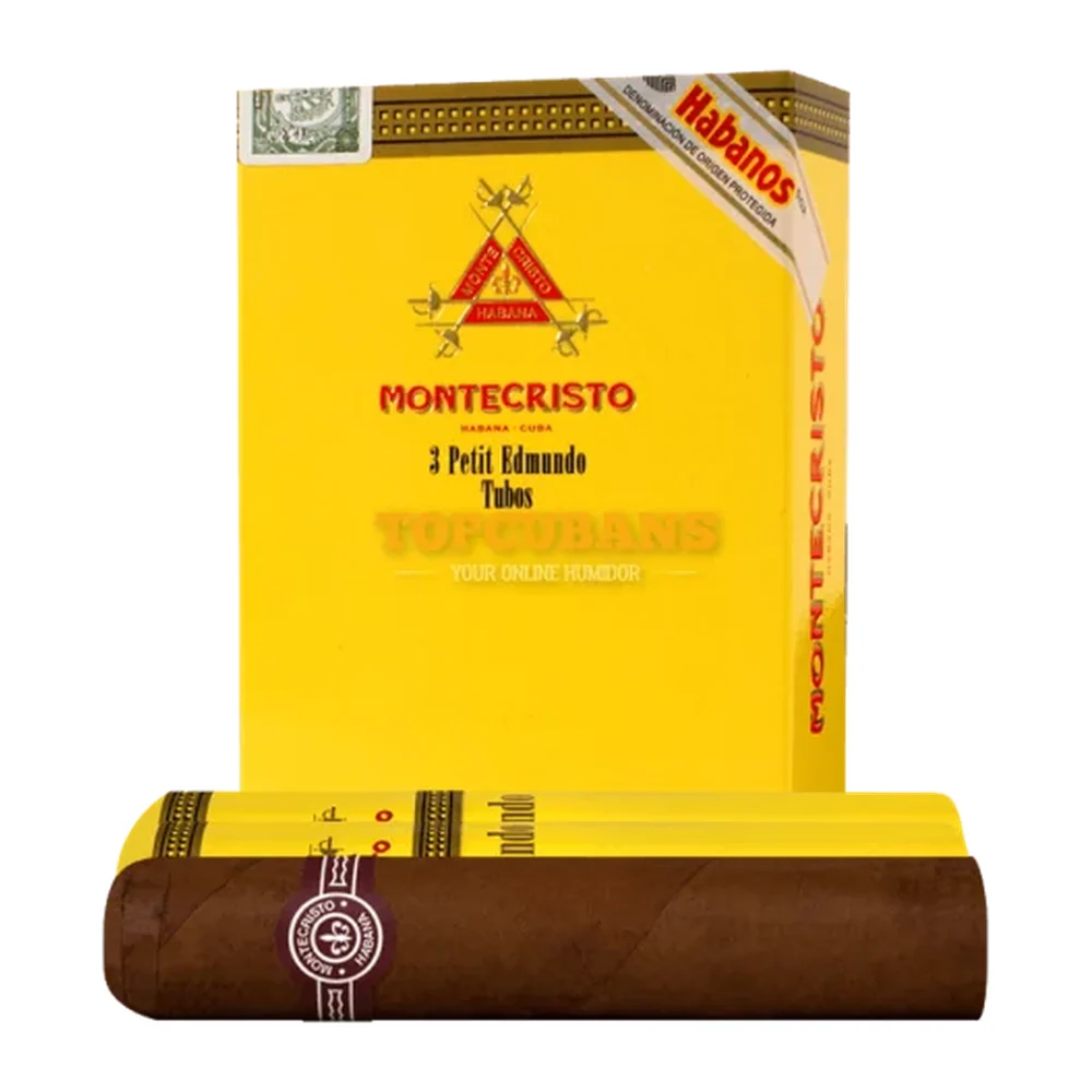 Petit Edmundo A/T 3CP