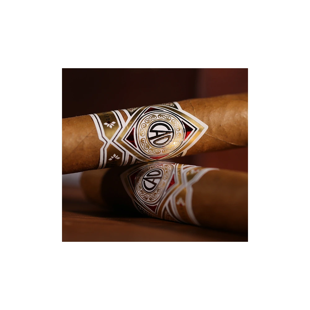 CAO Gold Robusto